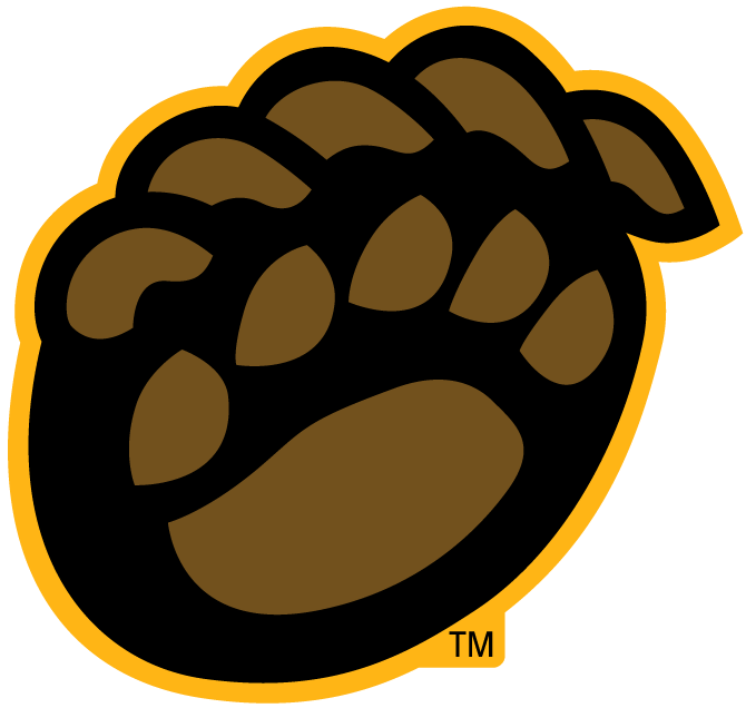 Baylor Bears 2005-Pres Alternate Logo v8 iron on transfers for clothing